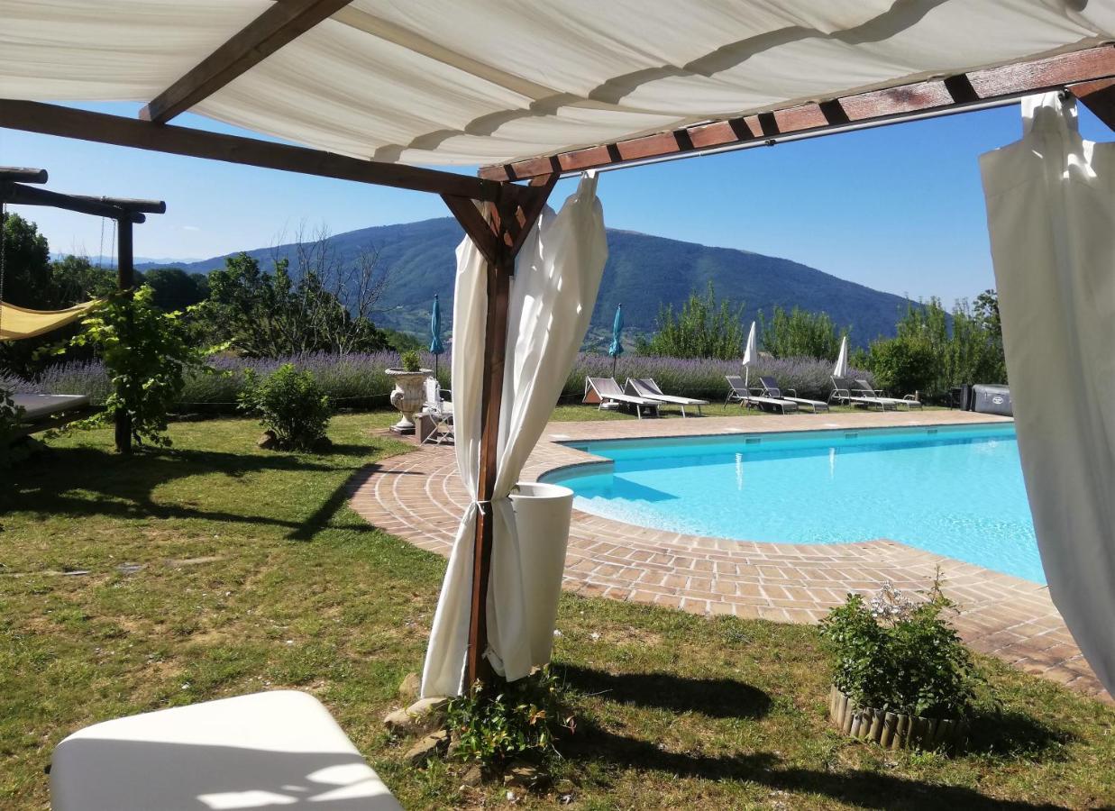 Le Ginestre Apartments Assisi Eksteriør bilde