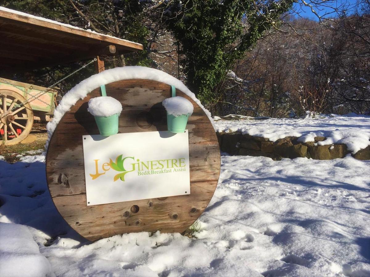 Le Ginestre Apartments Assisi Eksteriør bilde